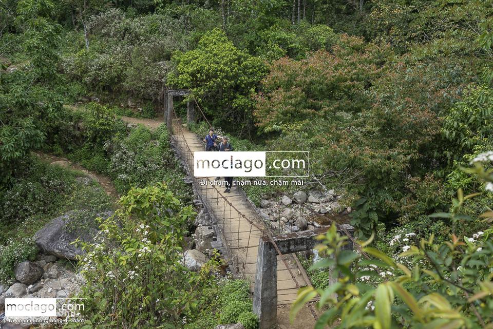 moclago putaleng 13 - Những đỉnh núi đẹp nhất Việt Nam| Phần 2| Putaleng khu rừng cổ tích ở Lai Châu