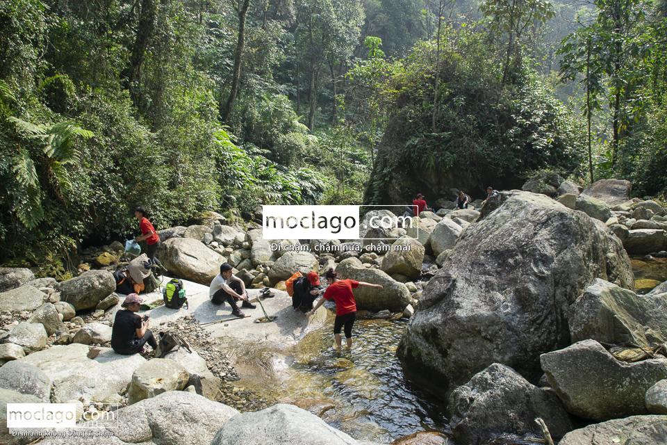 moclago putaleng 26 - Những đỉnh núi đẹp nhất Việt Nam| Phần 2| Putaleng khu rừng cổ tích ở Lai Châu