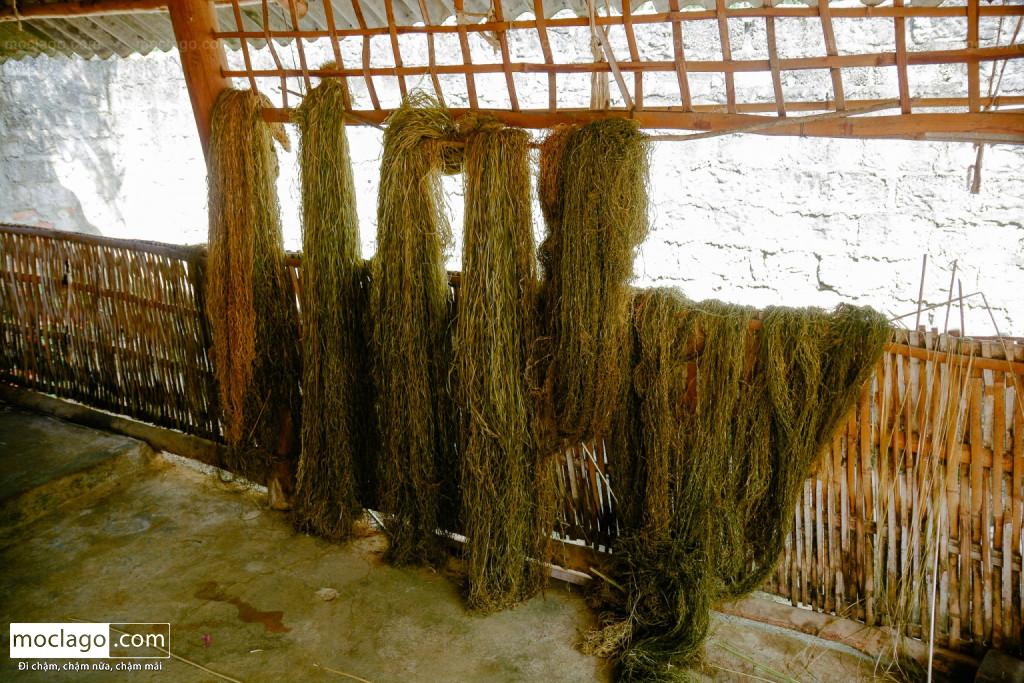 Vải lanh Hà Giang - Tất tần tật những gì mình biết BAC2419 1024x683 - Vải lanh Hà Giang - Tất tần tật những gì mình biết