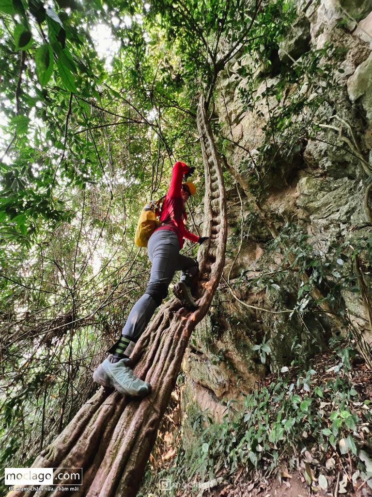 IMG 2725 - Review chi tiết tour khám phá hố sụp Kong - hang Hổ - hang Over - hang Pygmy Quảng Bình
