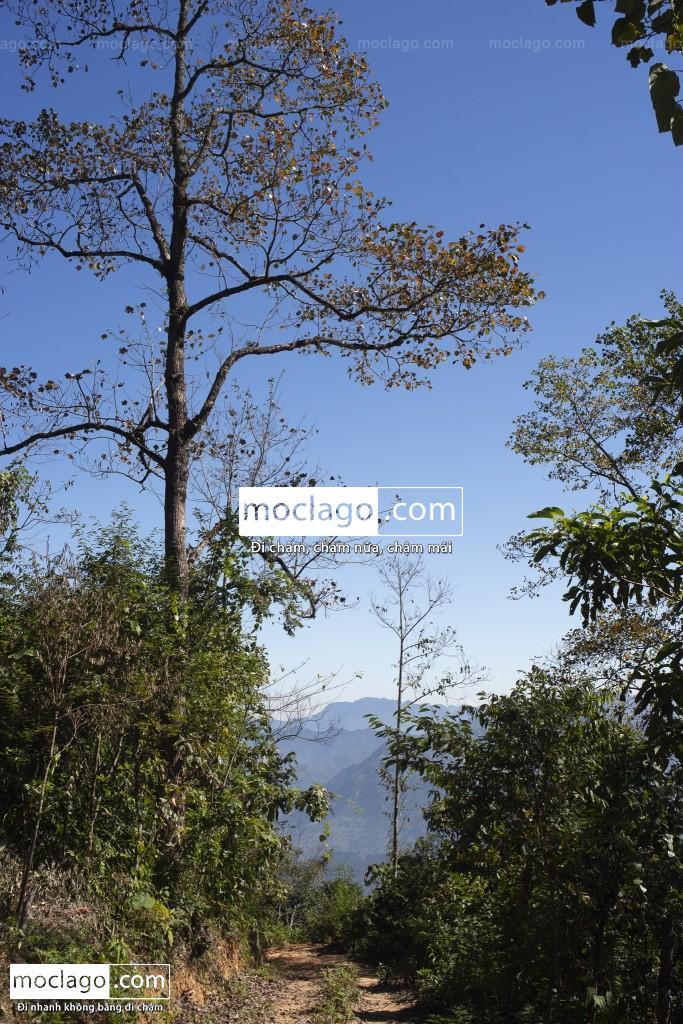 Mùa thu chạm núi DSC3954 - Mùa thu chạm núi