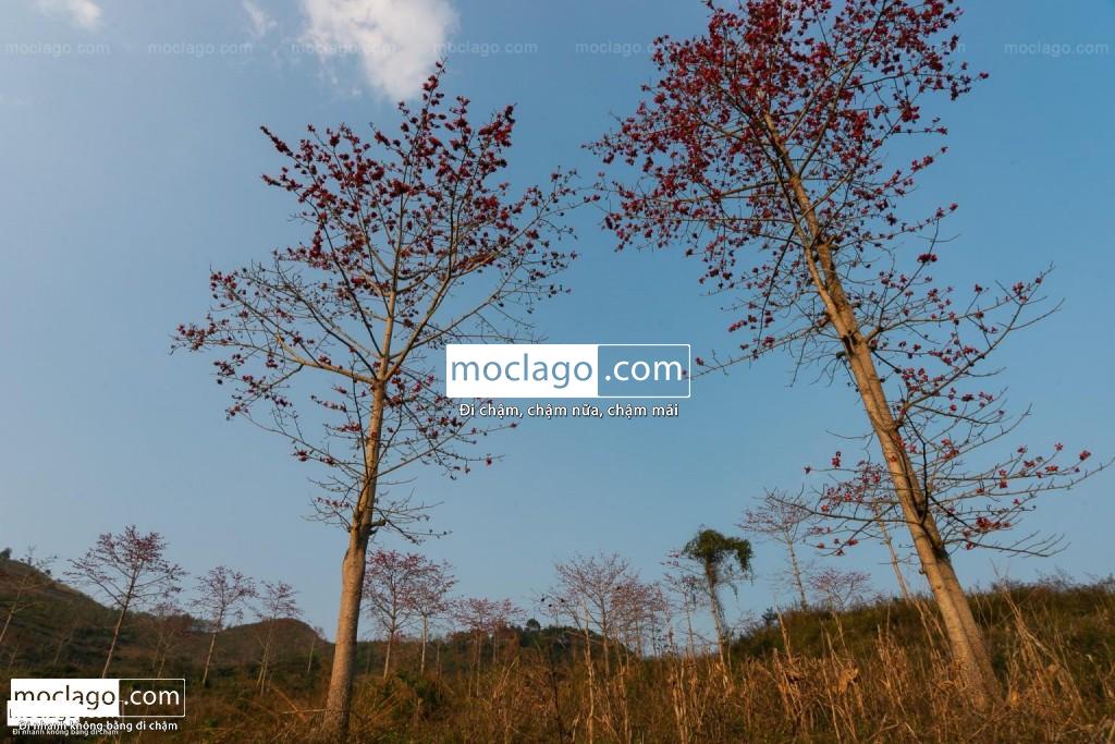 Hà Giang tháng 3 có gì? BAC08236 1024x683 - Hà Giang tháng 3 có gì?